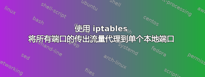 使用 iptables 将所有端口的传出流量代理到单个本地端口