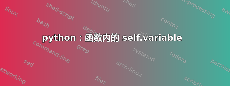 python：函数内的 self.variable 