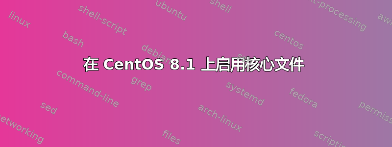 在 CentOS 8.1 上启用核心文件