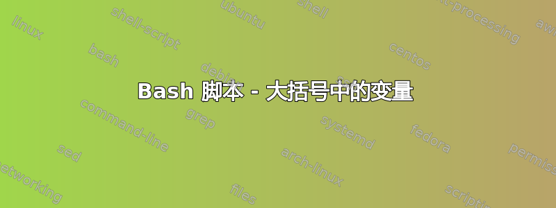 Bash 脚本 - 大括号中的变量