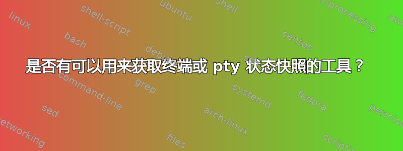 是否有可以用来获取终端或 pty 状态快照的工具？ 