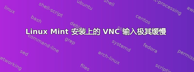 Linux Mint 安装上的 VNC 输入极其缓慢