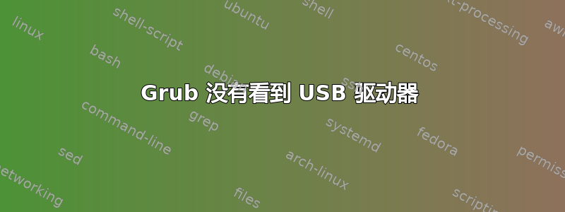 Grub 没有看到 USB 驱动器