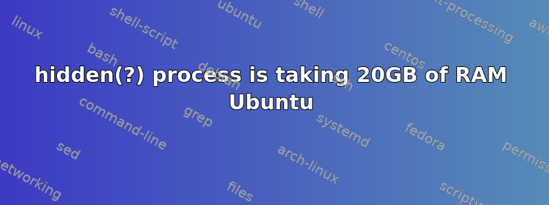 hidden(?) process is taking 20GB of RAM Ubuntu