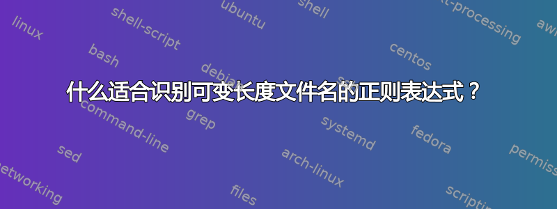 什么适合识别可变长度文件名的正则表达式？