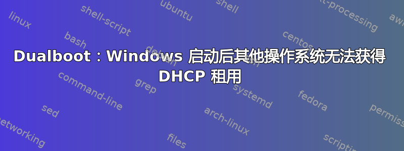 Dualboot：Windows 启动后其他操作系统无法获得 DHCP 租用