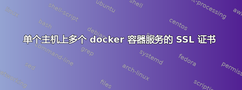 单个主机上多个 docker 容器服务的 SSL 证书