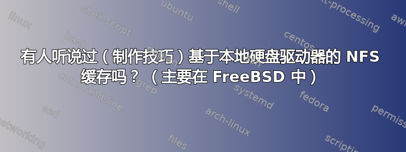 有人听说过（制作技巧）基于本地硬盘驱动器的 NFS 缓存吗？ （主要在 FreeBSD 中）