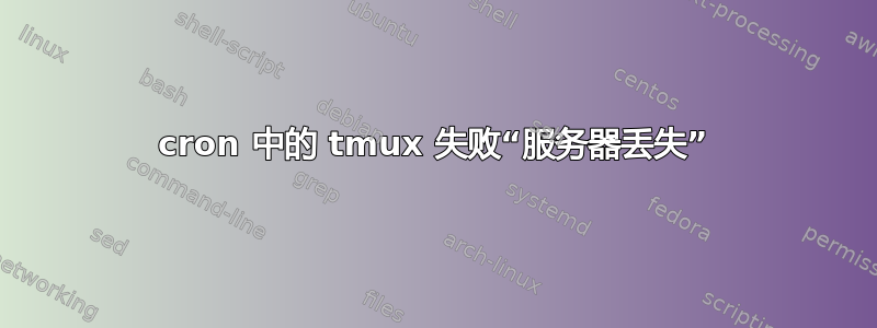 cron 中的 tmux 失败“服务器丢失”