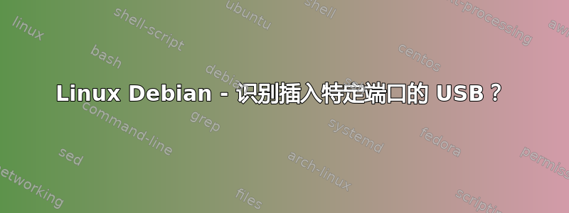 Linux Debian - 识别插入特定端口的 USB？