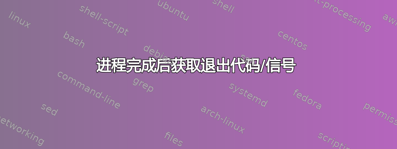 进程完成后获取退出代码/信号