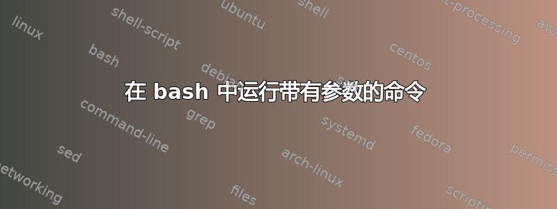 在 bash 中运行带有参数的命令