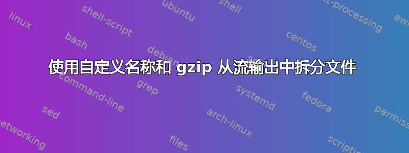 使用自定义名称和 gzip 从流输出中拆分文件