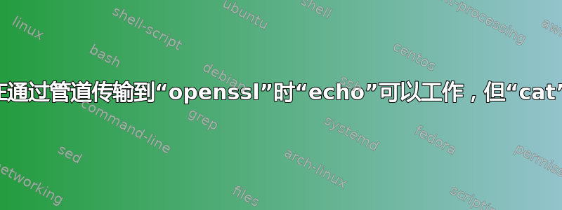 为什么在通过管道传输到“openssl”时“echo”可以工作，但“cat”却不能