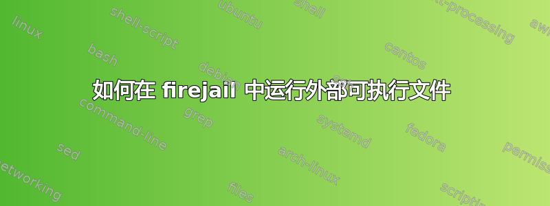 如何在 firejail 中运行外部可执行文件