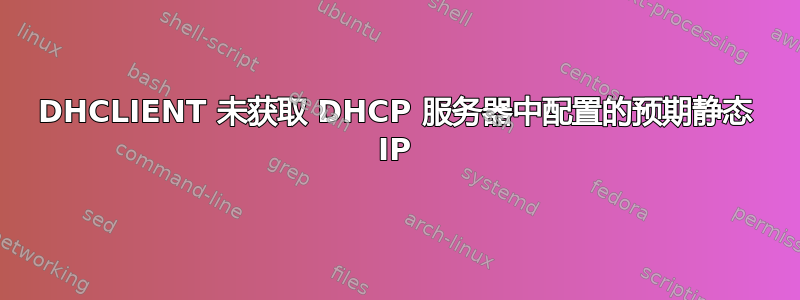 DHCLIENT 未获取 DHCP 服务器中配置的预期静态 IP