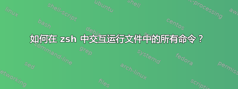 如何在 zsh 中交互运行文件中的所有命令？