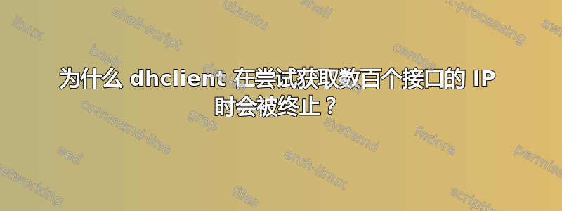 为什么 dhclient 在尝试获取数百个接口的 IP 时会被终止？