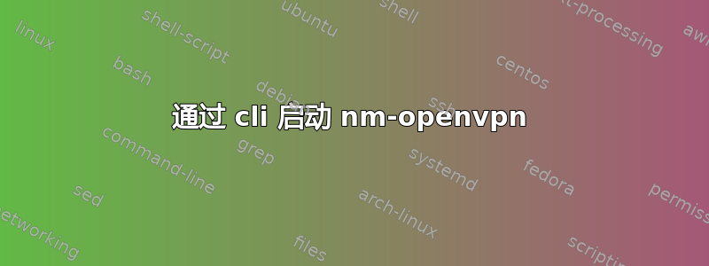 通过 cli 启动 nm-openvpn