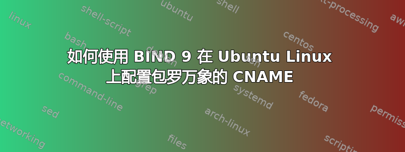 如何使用 BIND 9 在 Ubuntu Linux 上配置包罗万象的 CNAME