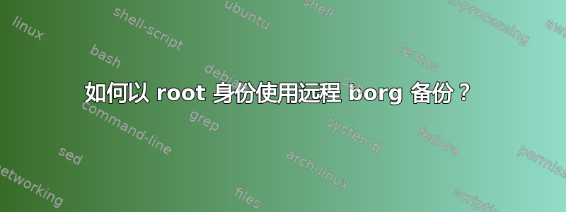 如何以 root 身份使用远程 borg 备份？