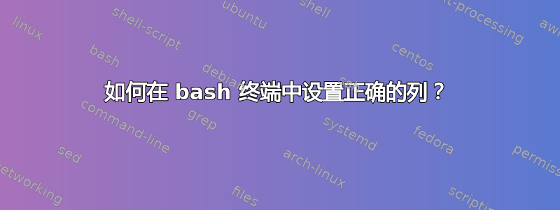 如何在 bash 终端中设置正确的列？