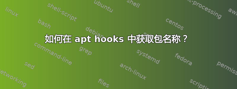 如何在 apt hooks 中获取包名称？