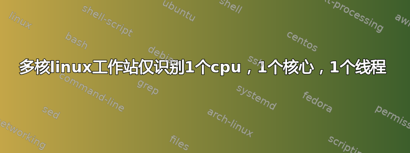 多核linux工作站仅识别1个cpu，1个核心，1个线程