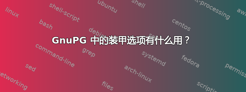 GnuPG 中的装甲选项有什么用？