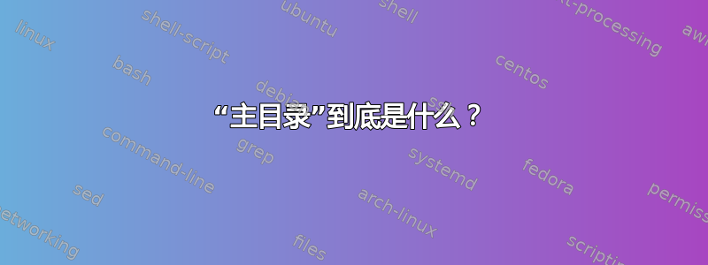 “主目录”到底是什么？