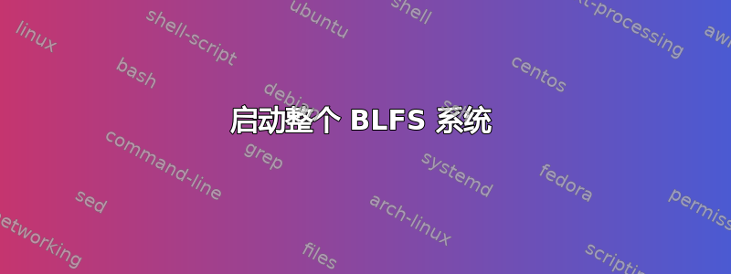 启动整个 BLFS 系统