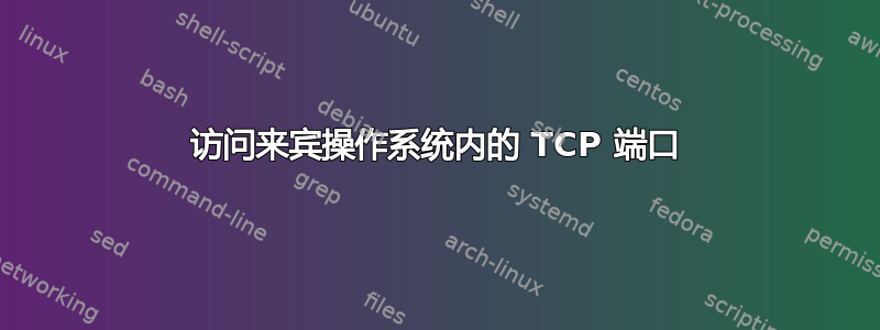 访问来宾操作系统内的 TCP 端口