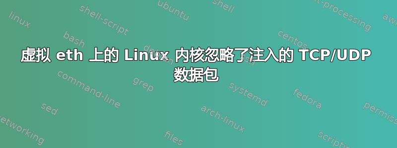 虚拟 eth 上的 Linux 内核忽略了注入的 TCP/UDP 数据包