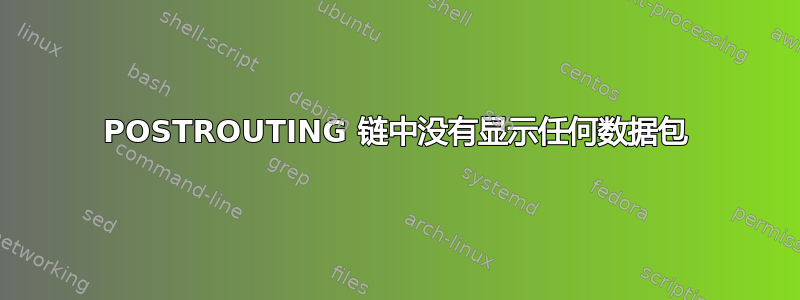 POSTROUTING 链中没有显示任何数据包