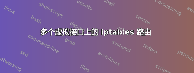 多个虚拟接口上的 iptables 路由