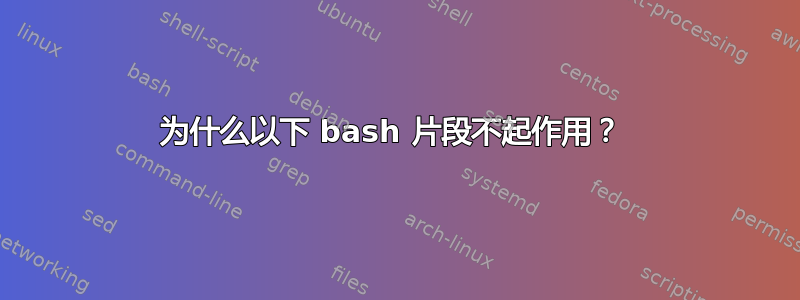 为什么以下 bash 片段不起作用？ 