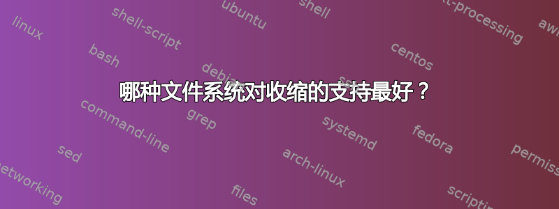 哪种文件系统对收缩的支持最好？