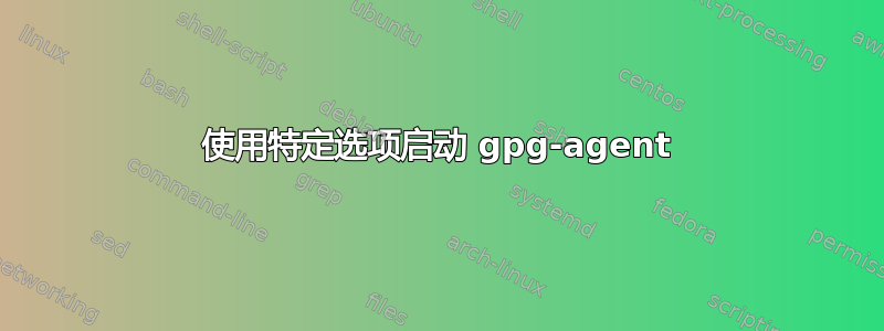 使用特定选项启动 gpg-agent