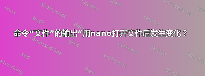 命令“文件”的输出“用nano打开文件后发生变化？