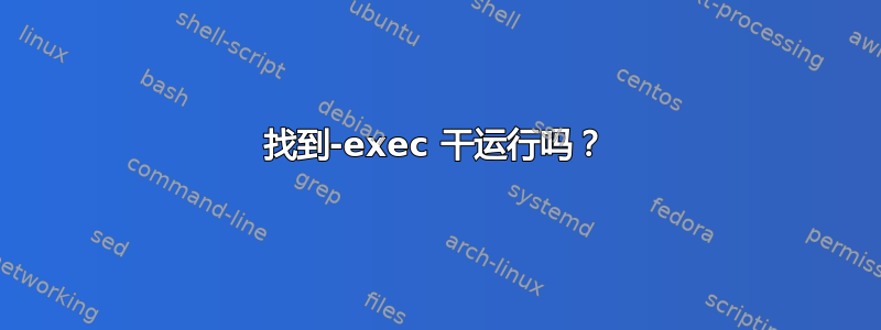 找到-exec 干运行吗？