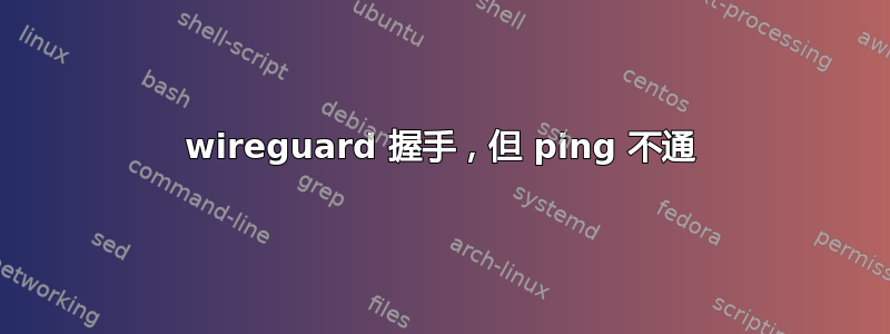 wireguard 握手，但 ping 不通