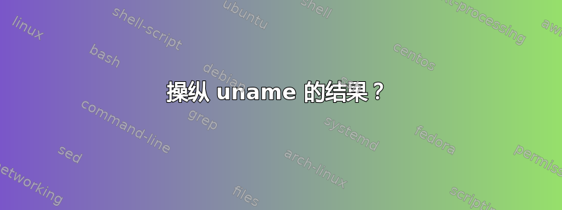 操纵 uname 的结果？