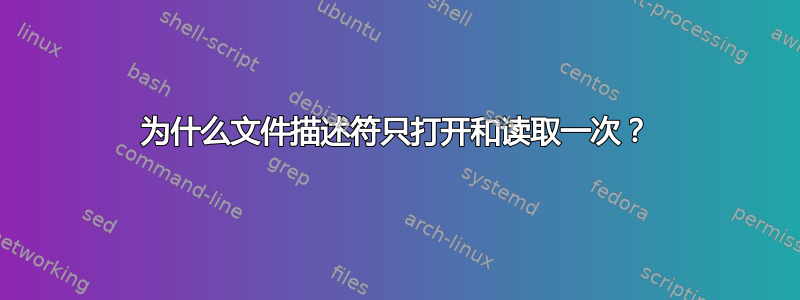 为什么文件描述符只打开和读取一次？