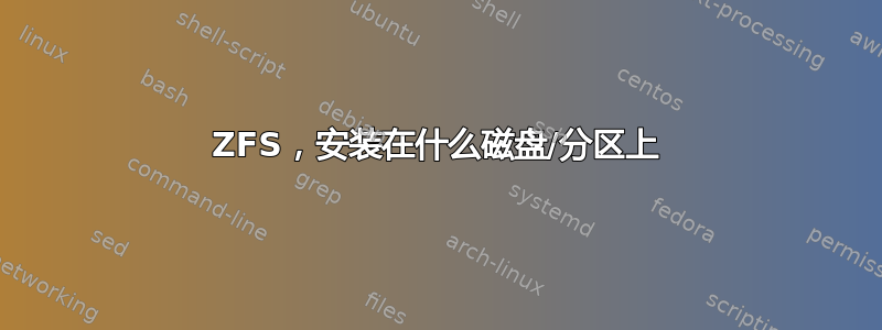 ZFS，安装在什么磁盘/分区上