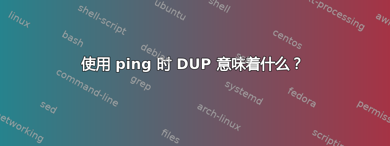 使用 ping 时 DUP 意味着什么？