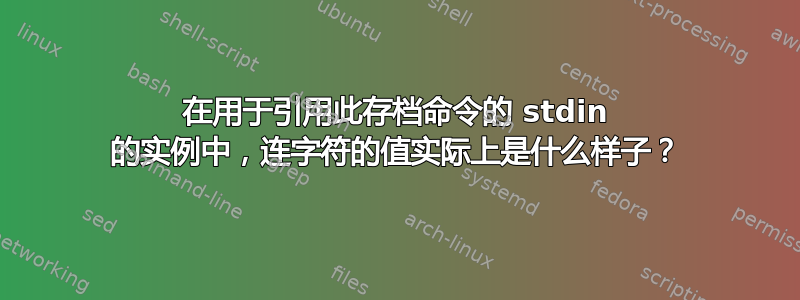 在用于引用此存档命令的 stdin 的实例中，连字符的值实际上是什么样子？