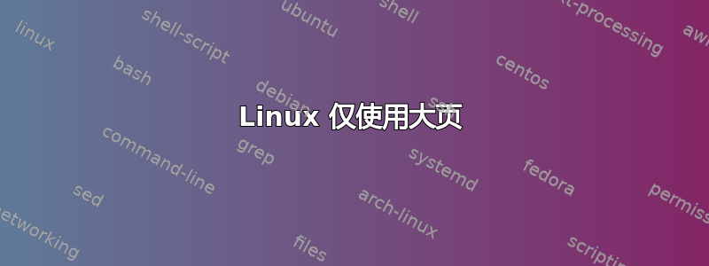 Linux 仅使用大页