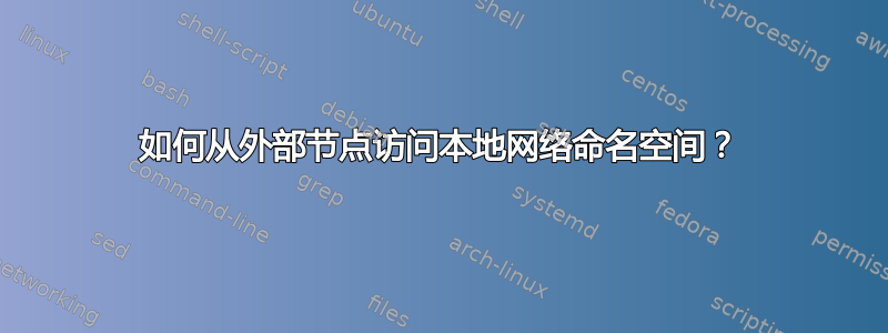 如何从外部节点访问本地网络命名空间？