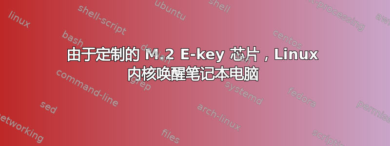 由于定制的 M.2 E-key 芯片，Linux 内核唤醒笔记本电脑