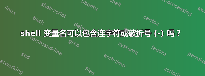 shell 变量名可以包含连字符或破折号 (-) 吗？